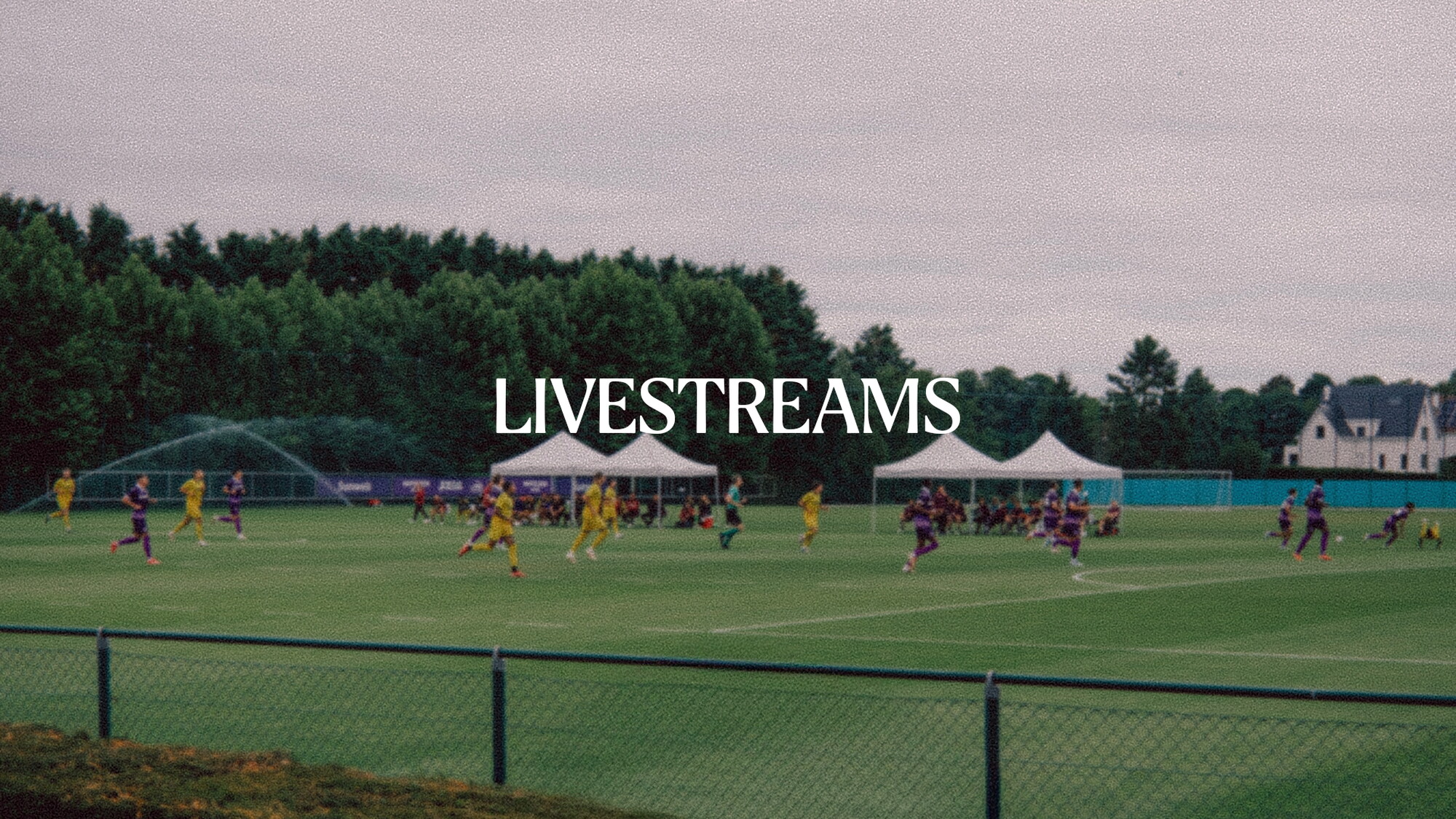 Mauve Rsca Mauve TV | RSC Anderlecht