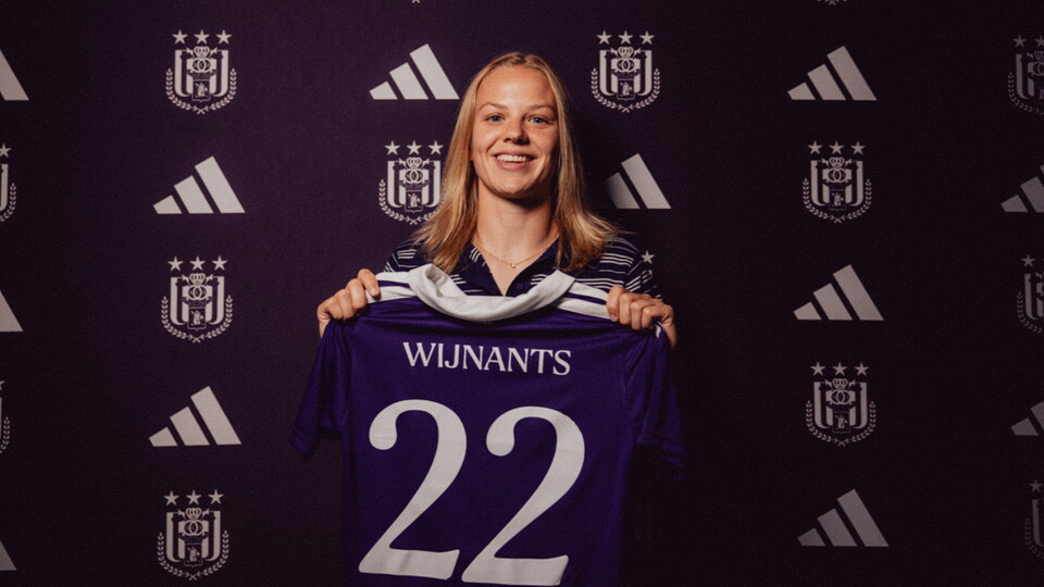 Wijnants