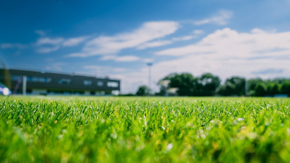 Team-support academy